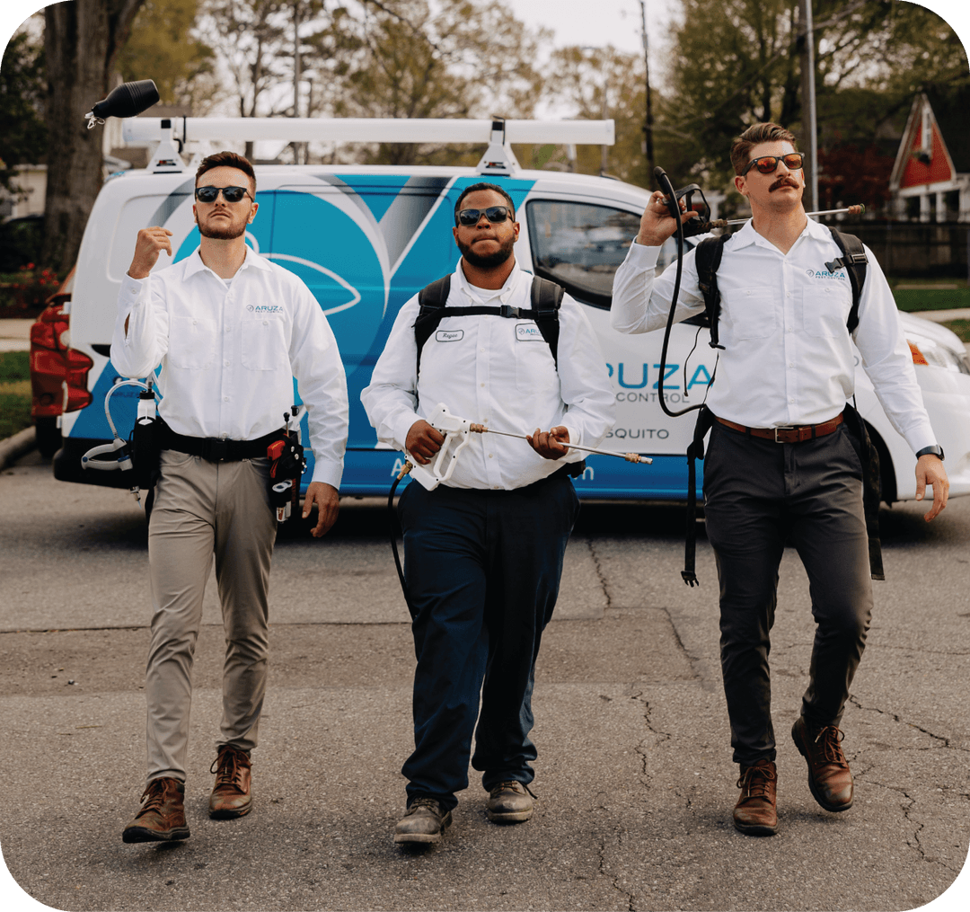 Get Support & Contact Us Aruza Pest Control